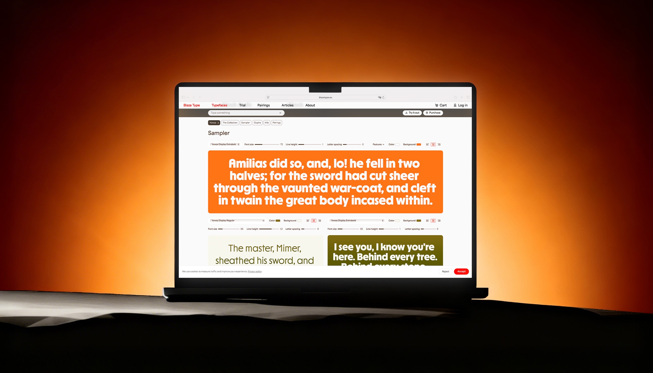 Aperçu du site BLAZE TYPE